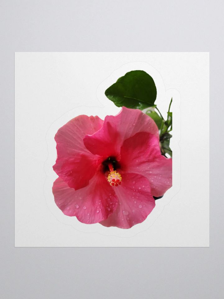 Flower Stickers v2 product image (1)