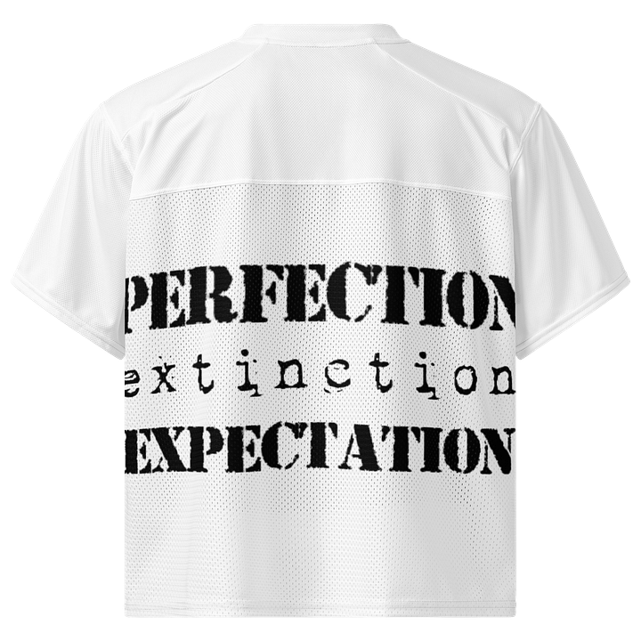 perfection expectation product image (2)