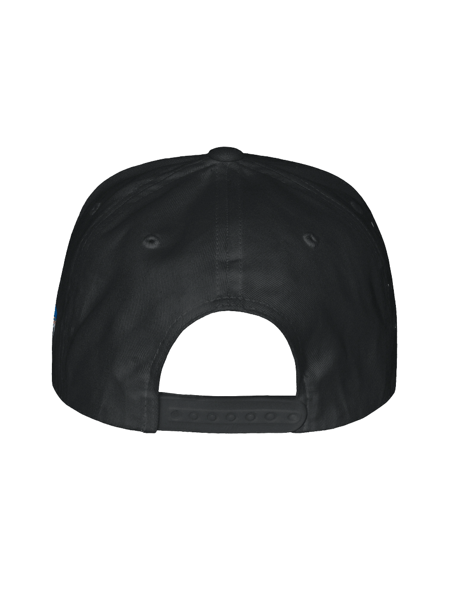 W Handmedown Hat (Gray) product image (25)