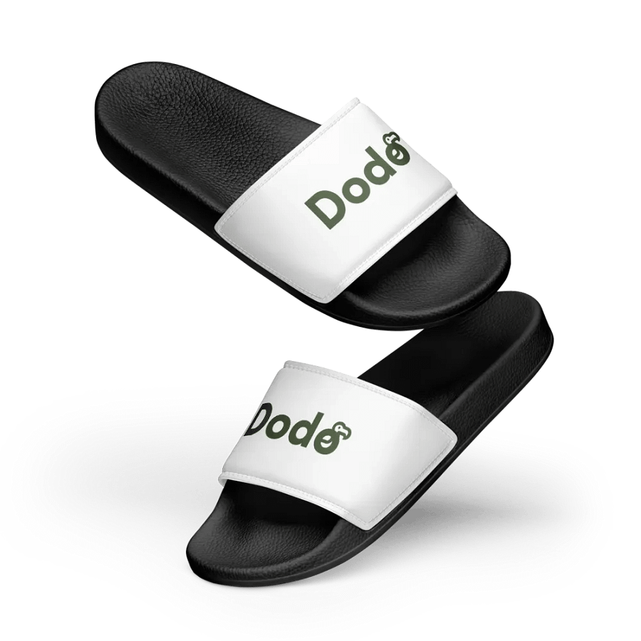 Dodo Slides product image (11)
