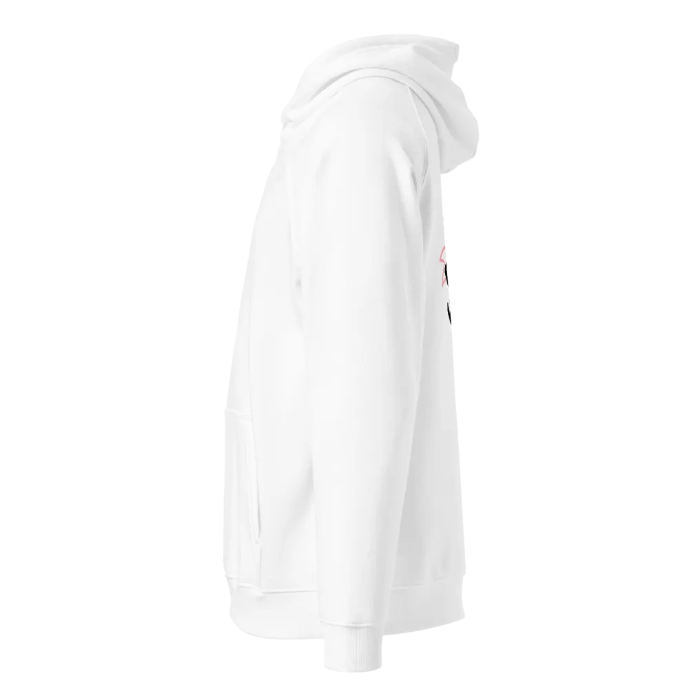 Eco-Chic Raglan Hoodie product image (3)