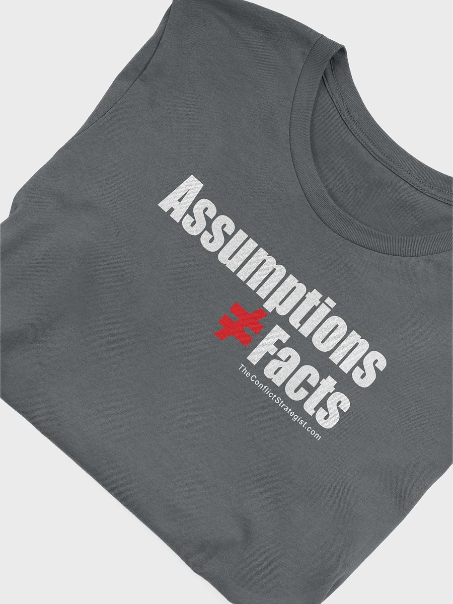 Assumptions / Facts - Unisex T Shirt - 6 Colors product image (15)