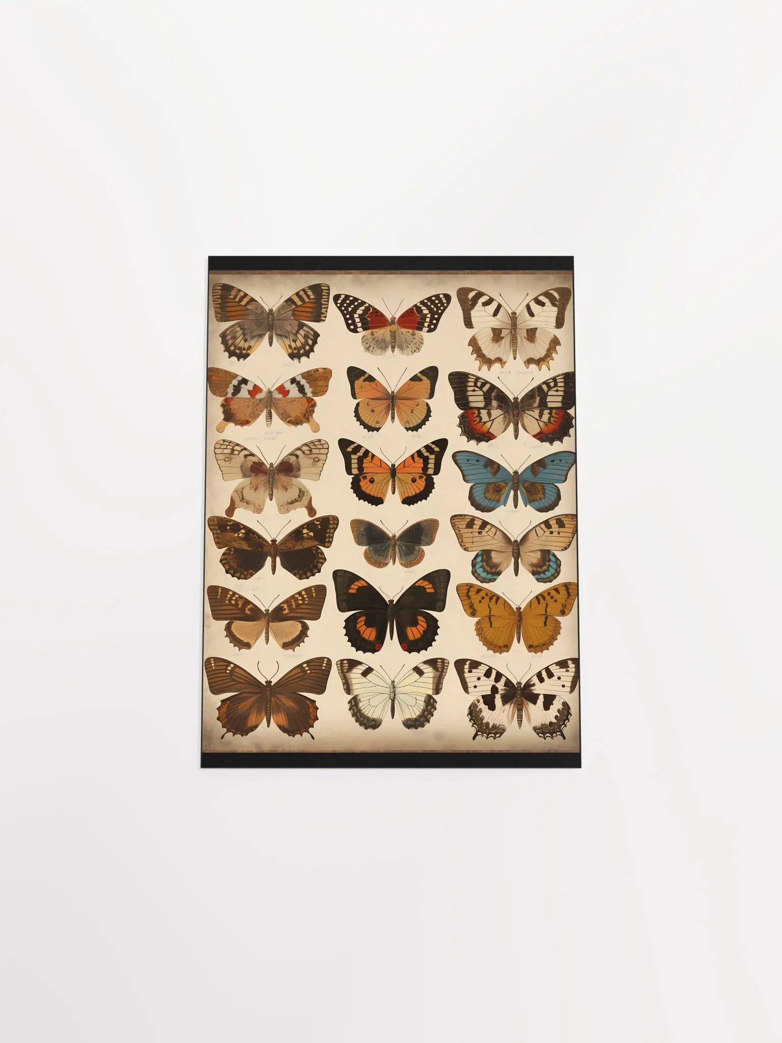 Butterfly Dreams Poster product image (14)