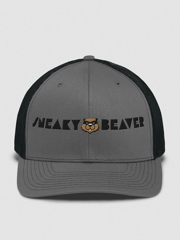 Sneaky Trucker embroidered cap product image (2)