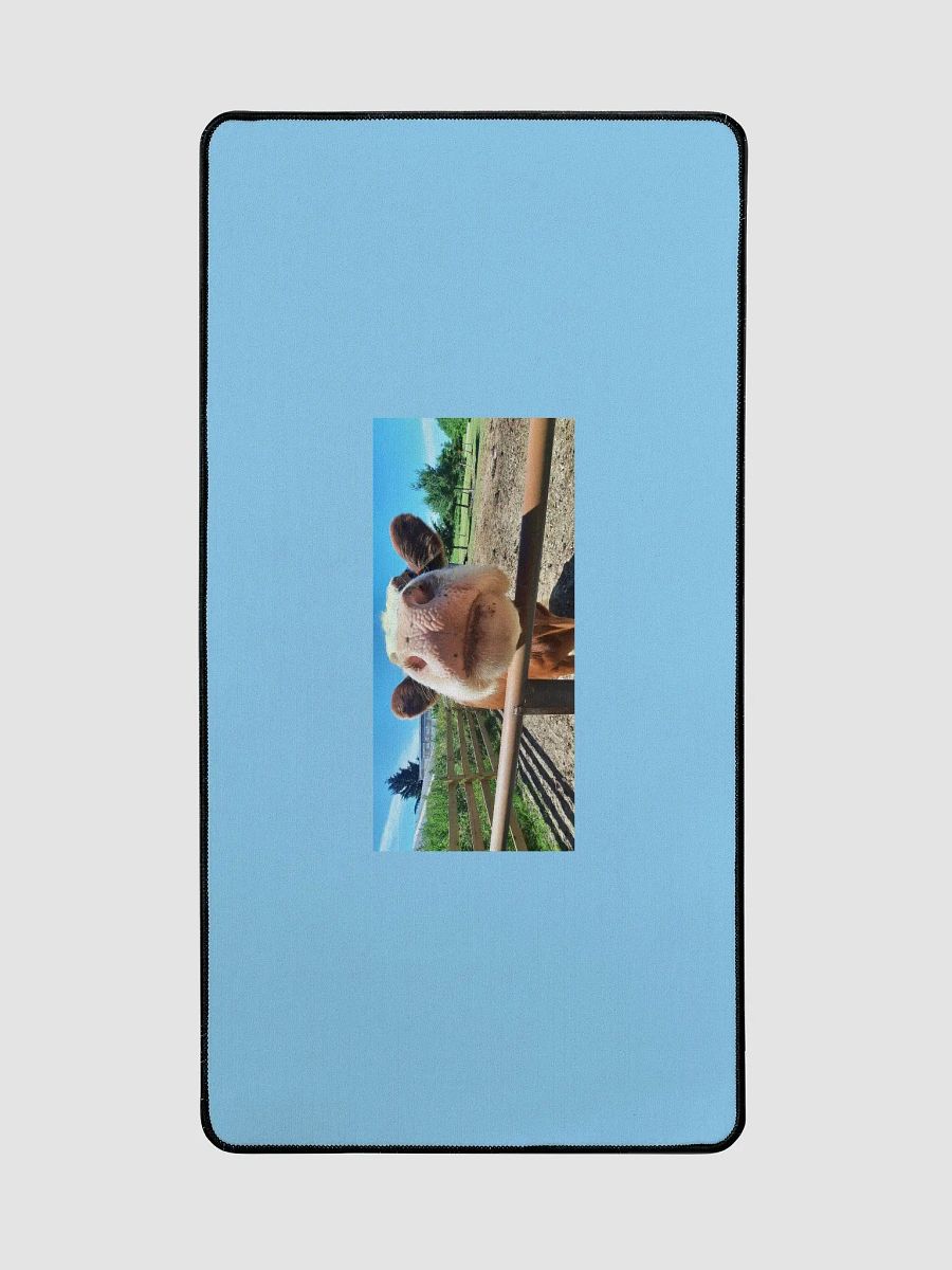 Nosey Computer Mat product image (2)