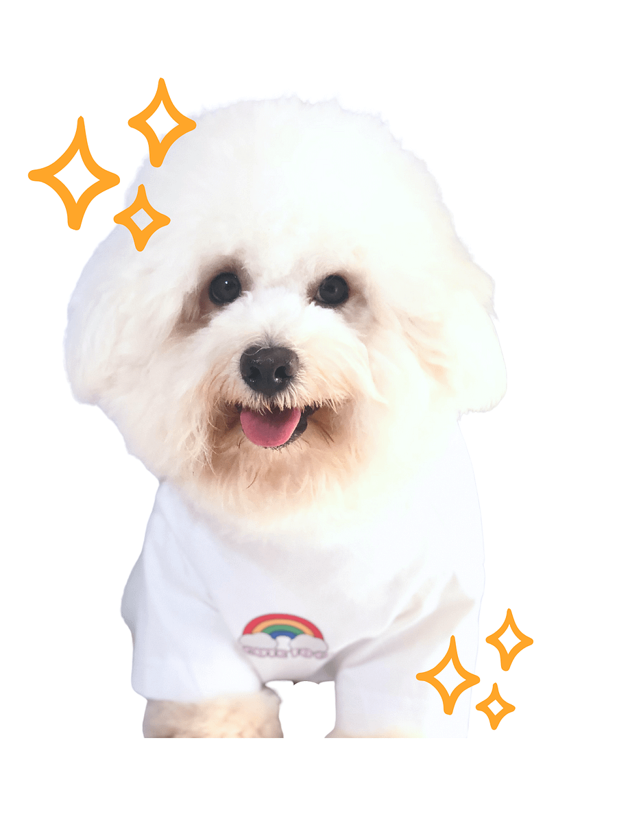 Matching Tshirt "Too Cute" FURKIDS product image (5)