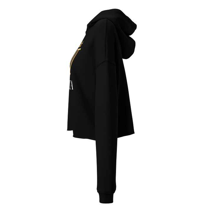 VETA Cropped Hoodie product image (4)
