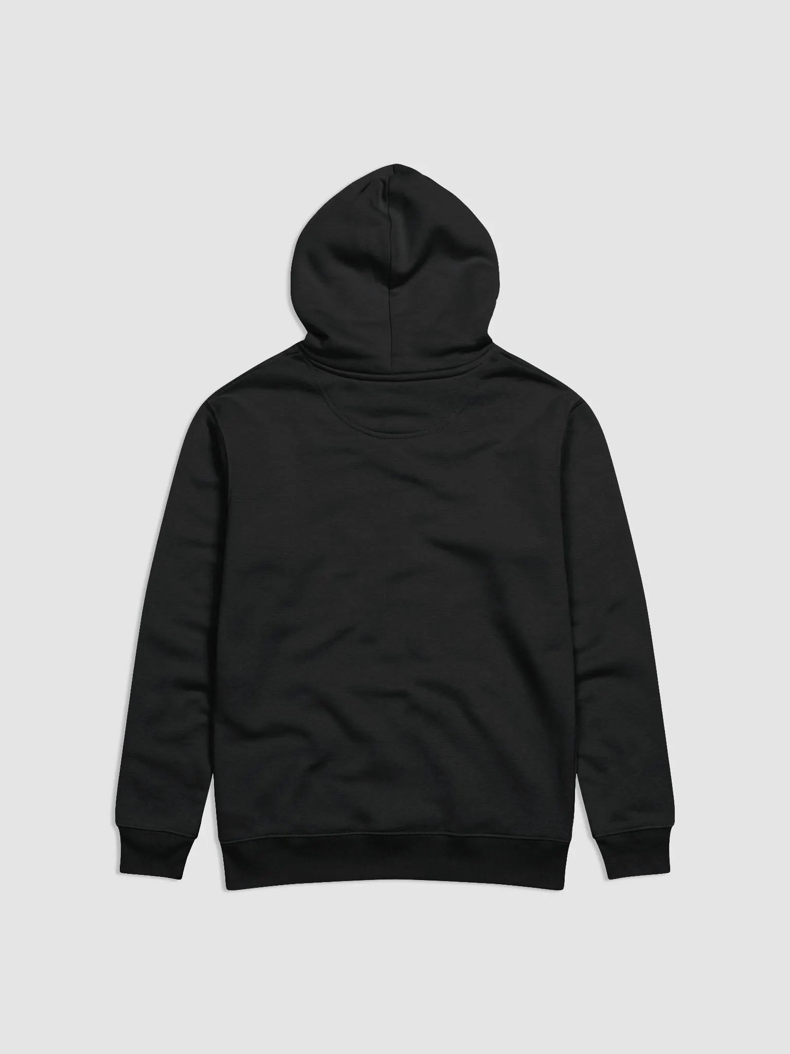 Looking Ahead Unisex Essential Eco Hoodie product image (4)