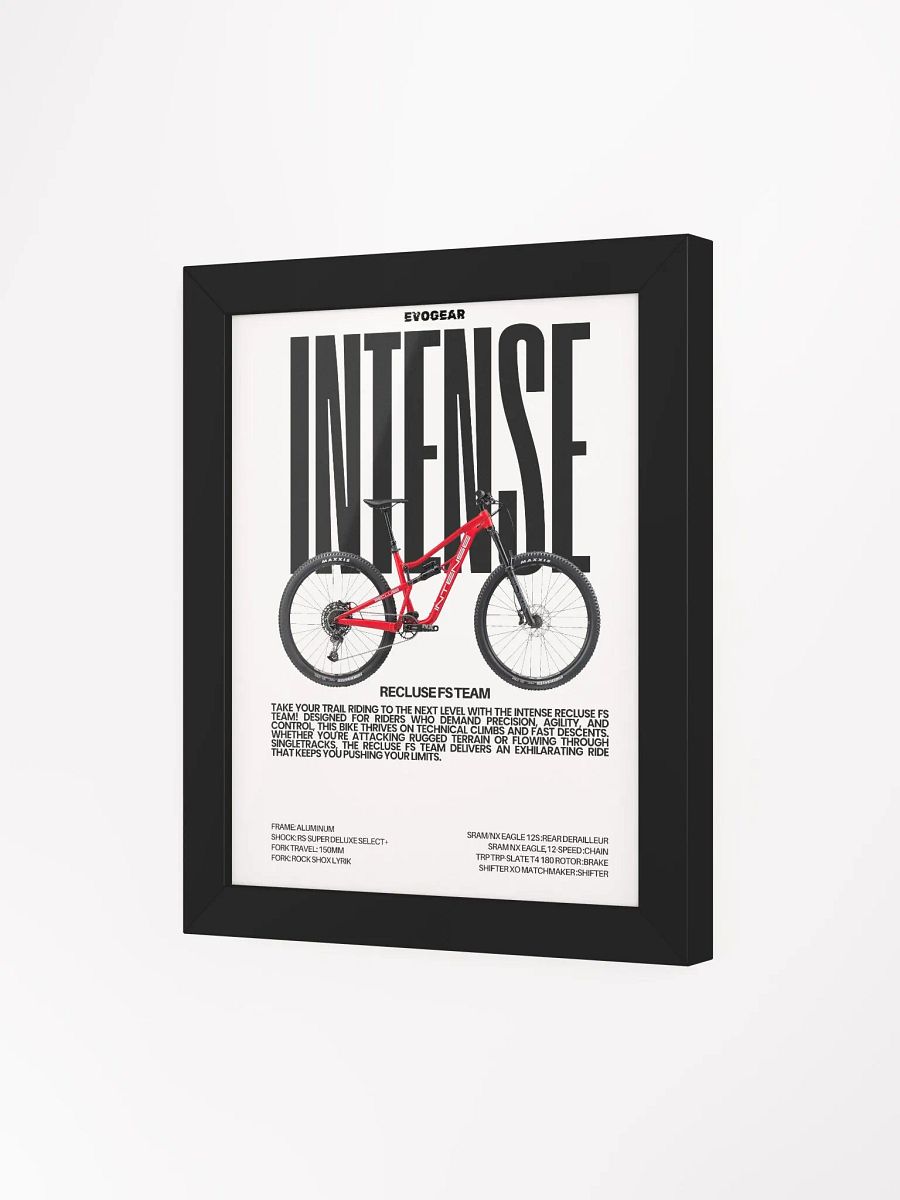 Intense Recluse FS Team Frame product image (14)