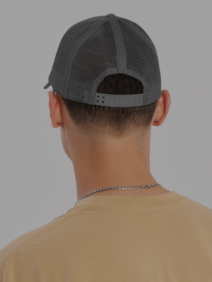 Cognitive Dissonance Hat product image (8)