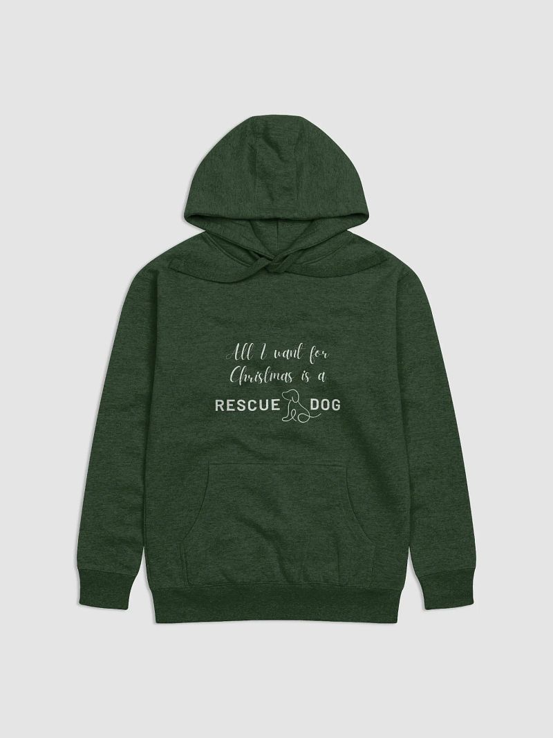 All I want for Christmas Hoodie - Green