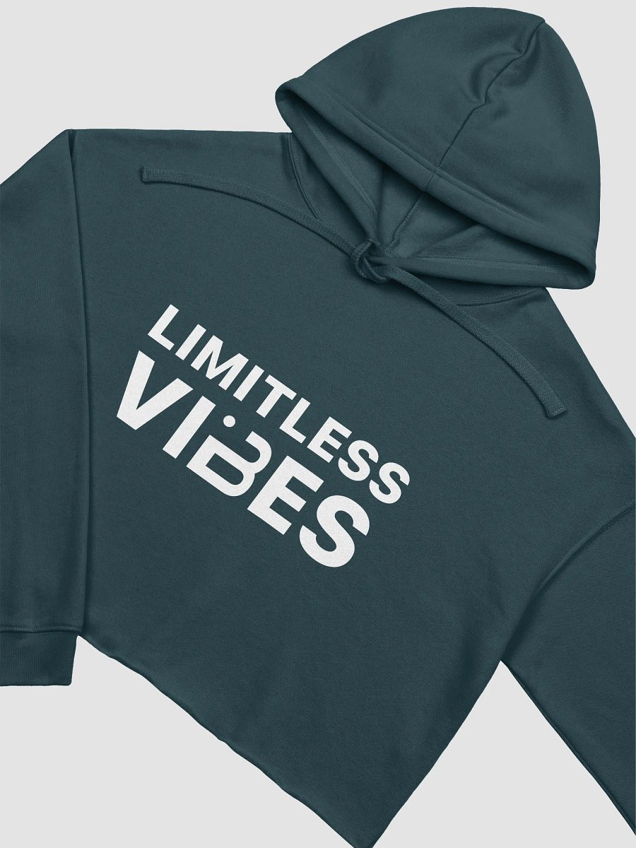 BUIII Limitless Vibes Fleece Crop Hoodie product image (20)