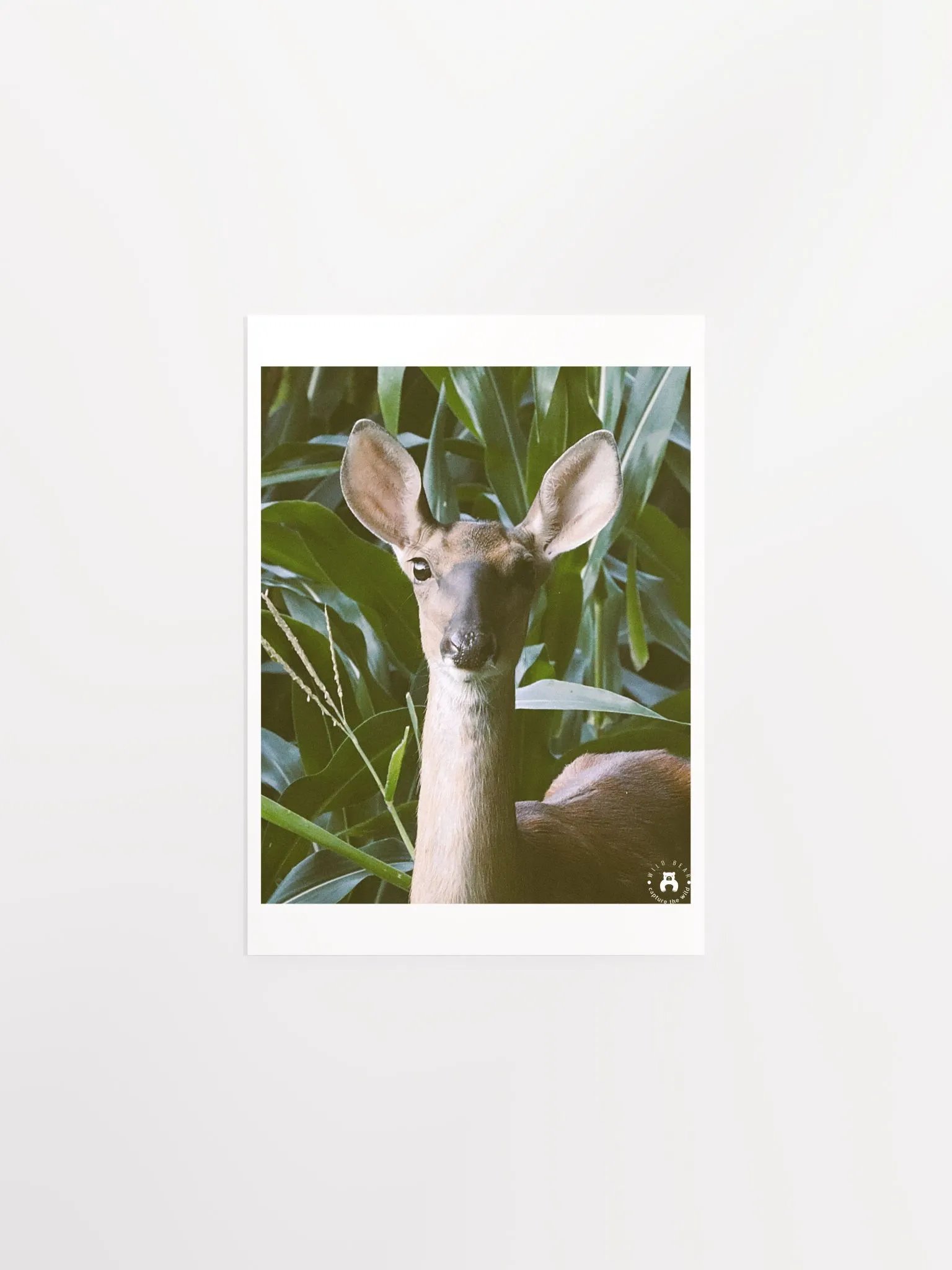 Enchanted Forest Deer Poster product image (3)