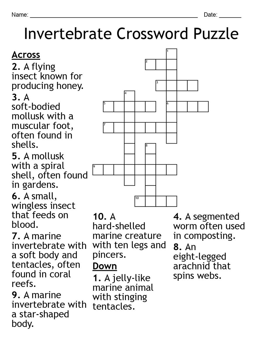 Invertebrate Crossword Puzzle – Fun and Educational Biology Activity product image (1)