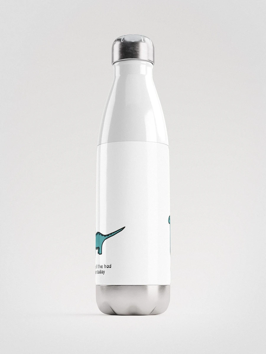 Ask me if I've had water today - Steel Water Bottle product image (4)