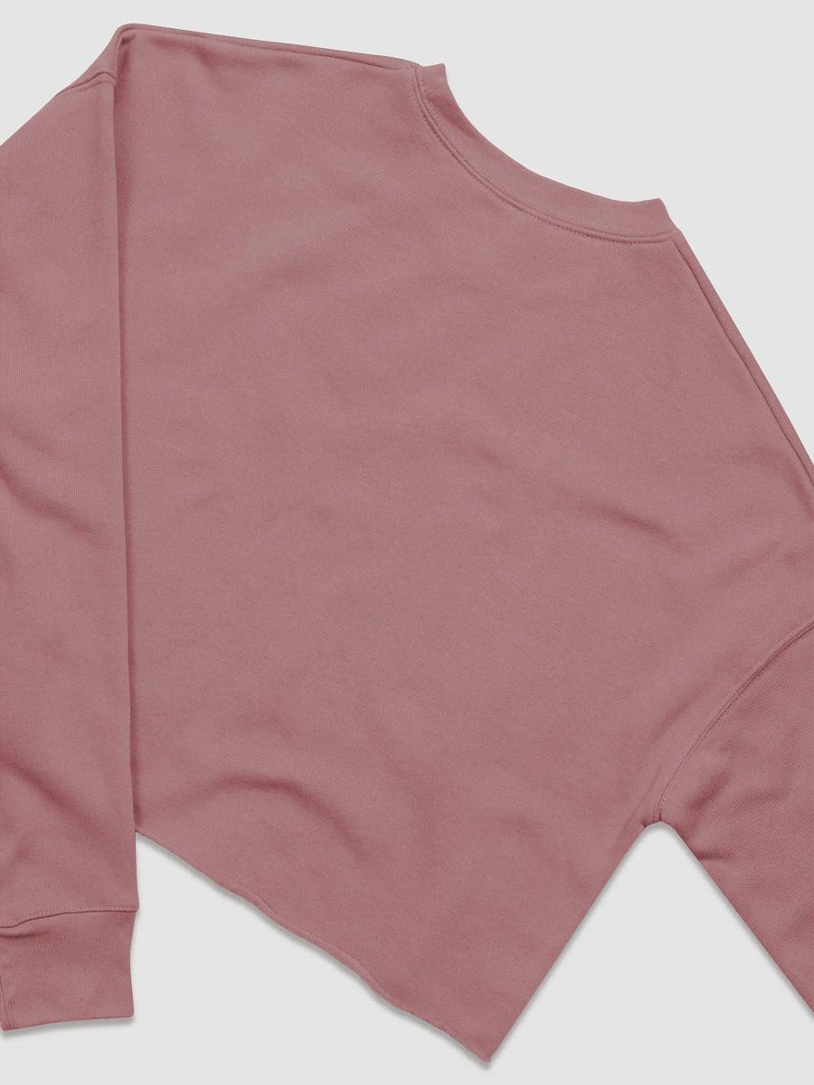 Rupees Crop Sweatshirt product image (7)