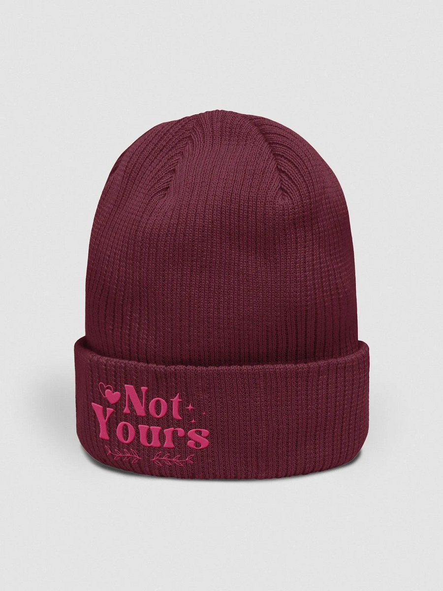 Not Yours Embroidered Organic Cotton Ribbed Beanie (Red Text) product image (2)