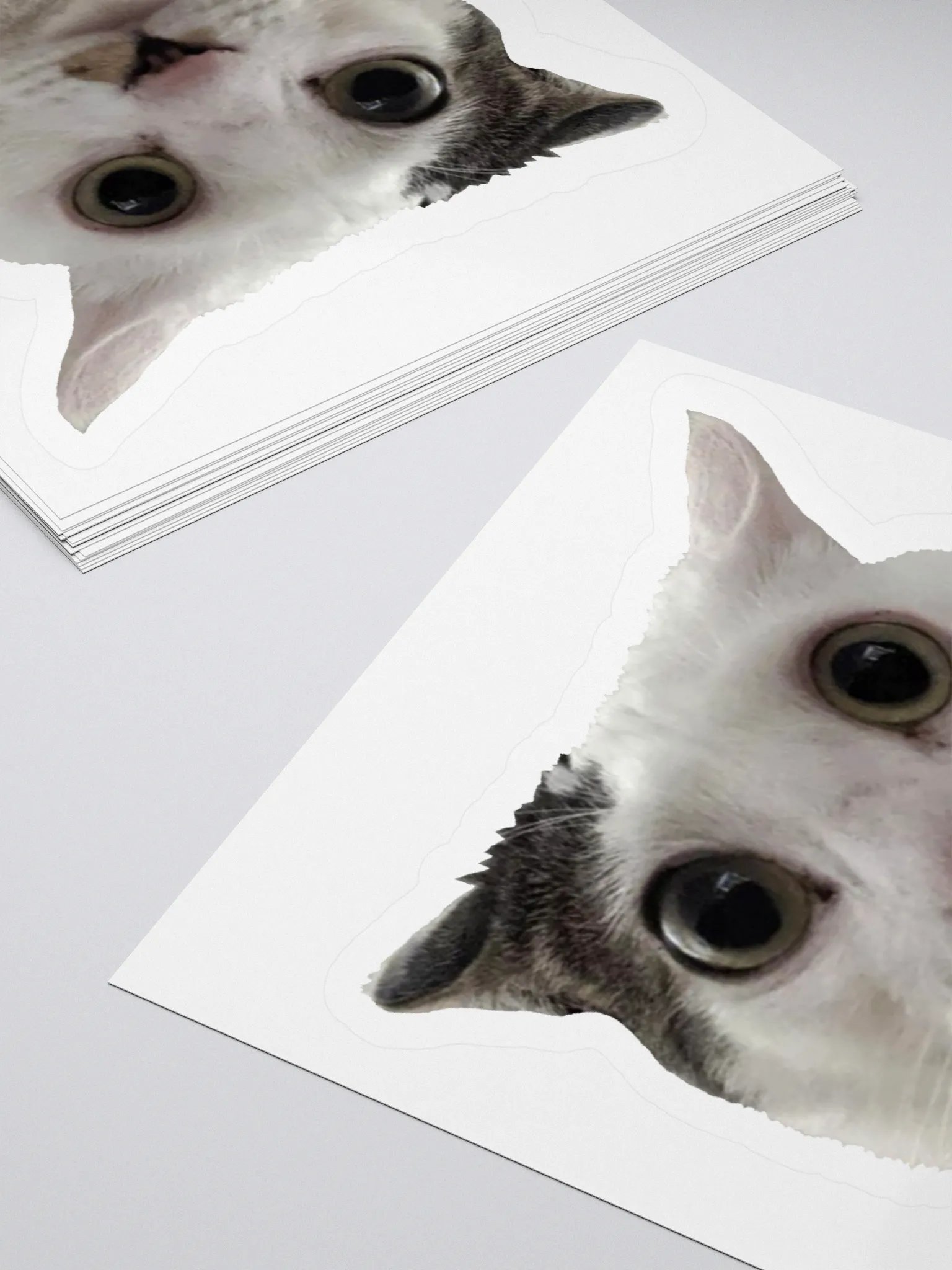 Jia Sticker product image (8)