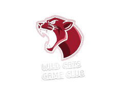 Wild Cats Game Club