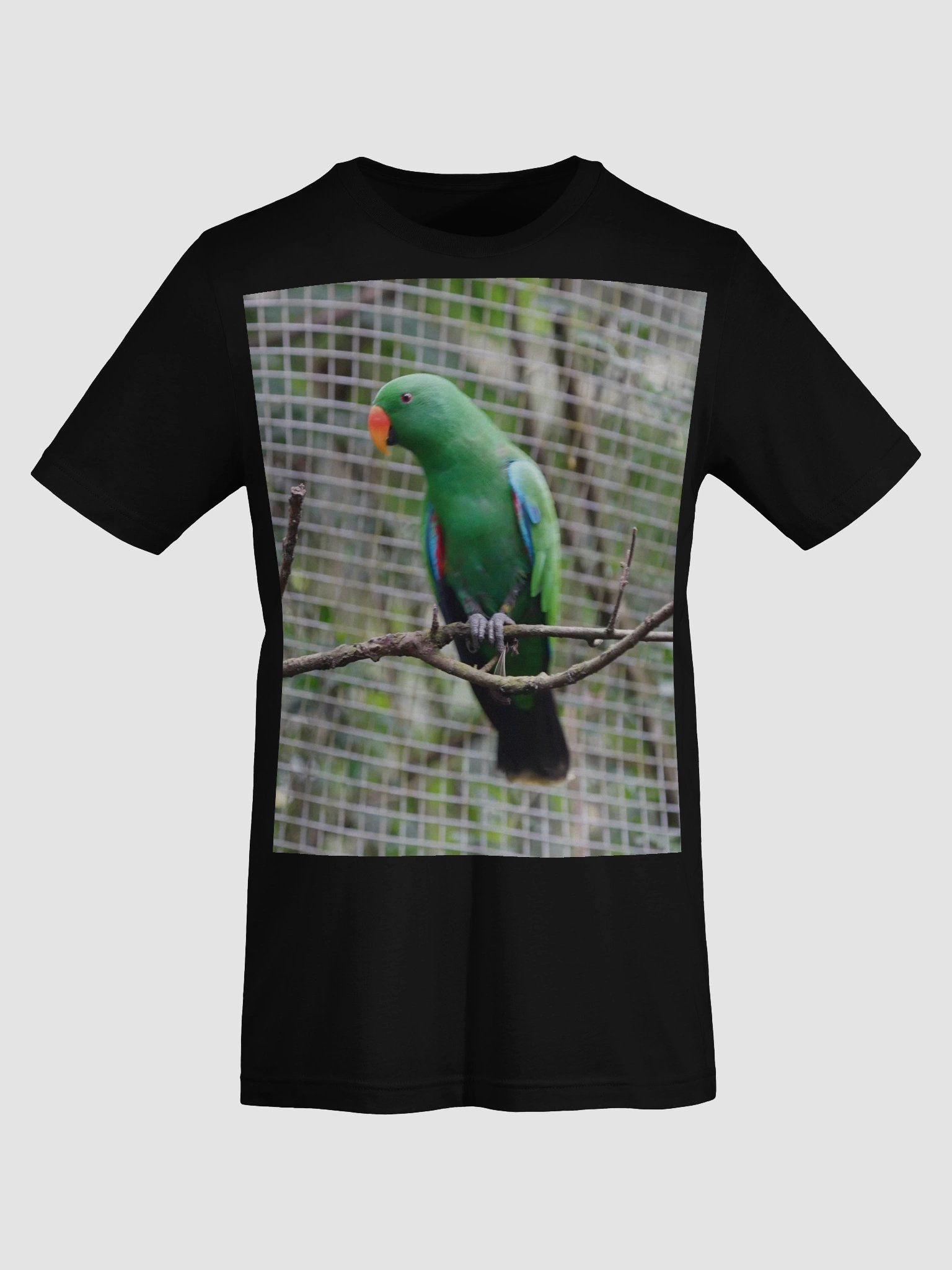 Vibrant Parrot Perch T-Shirt product image (7)