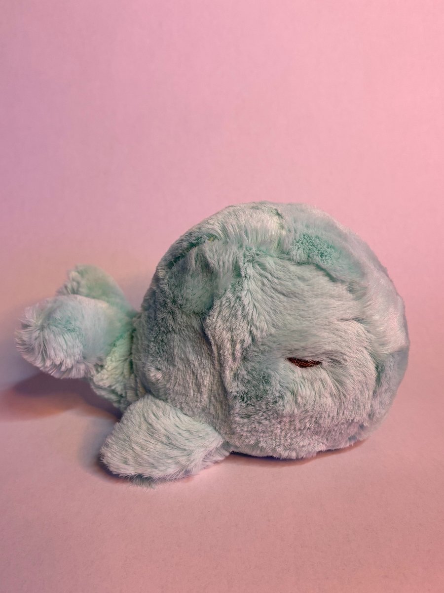 Sleepy Whale product image (4)