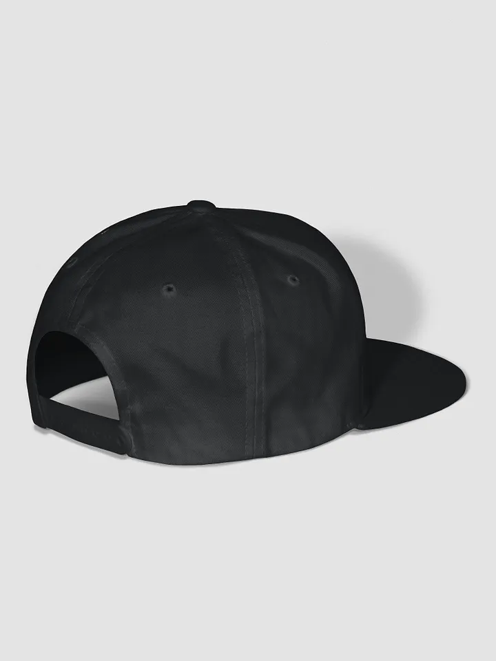 Team 8Billion SnapBack product image (2)