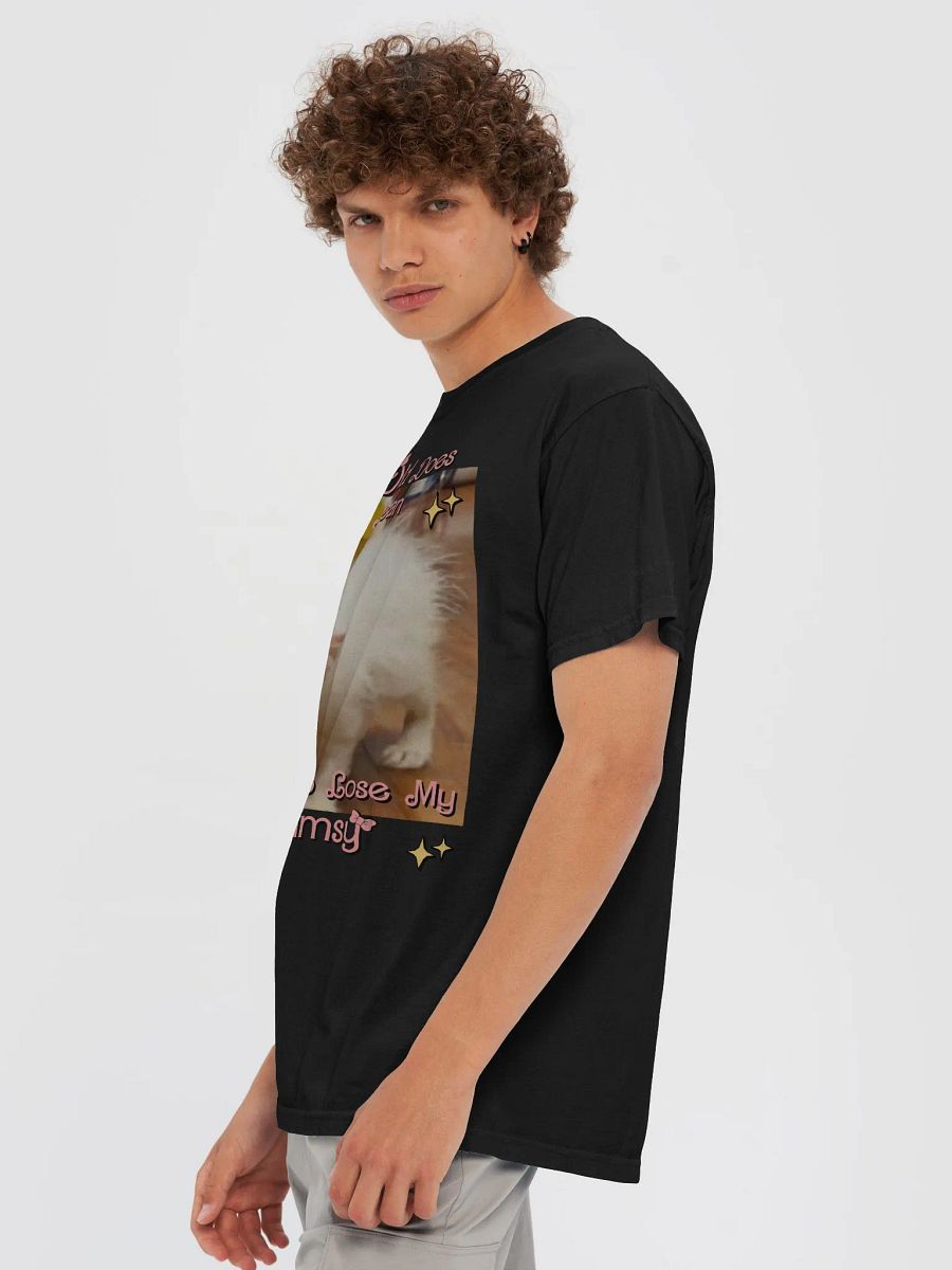 Old & Whimsy Heavyweight T-Shirt product image (5)