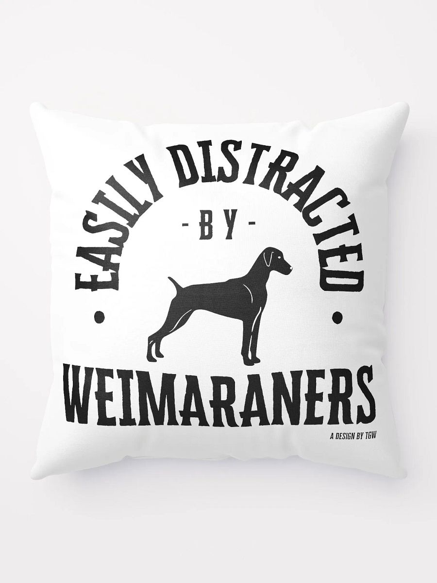 Easily Distracted - Pillow product image (1)