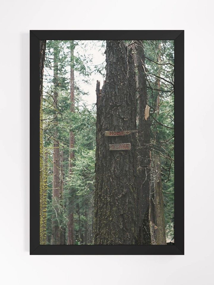 To Home - To Lake product image (1)