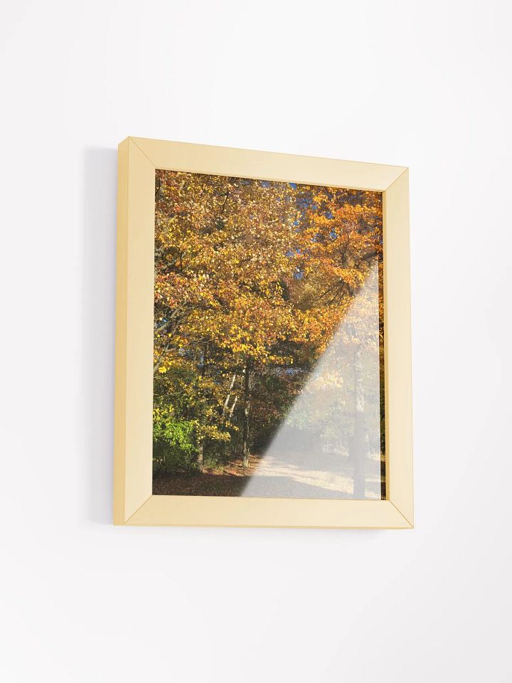 Fall Leaves High Quality Matte Poster product image (2)