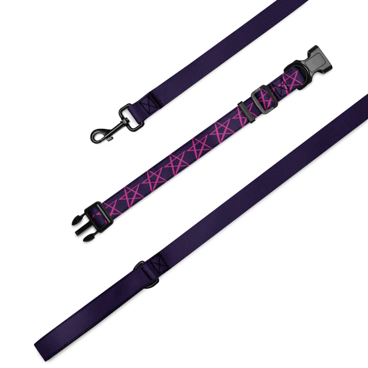 Nebula Pet Collar & Leash Set product image (2)