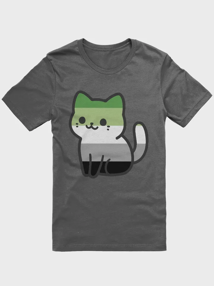 Aromantic Pride Kitty Woman's Shirt product image (5)