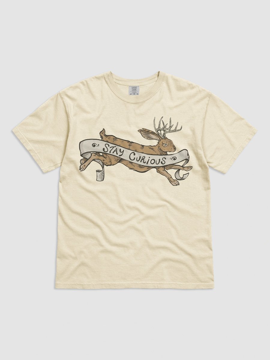 Stay Curious TEE product image (1)