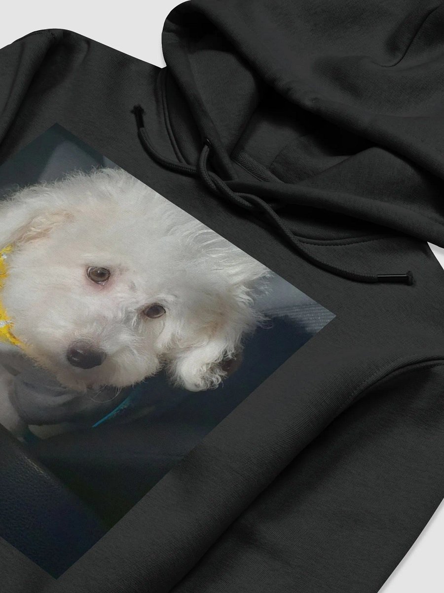 sweatshirt product image (3)