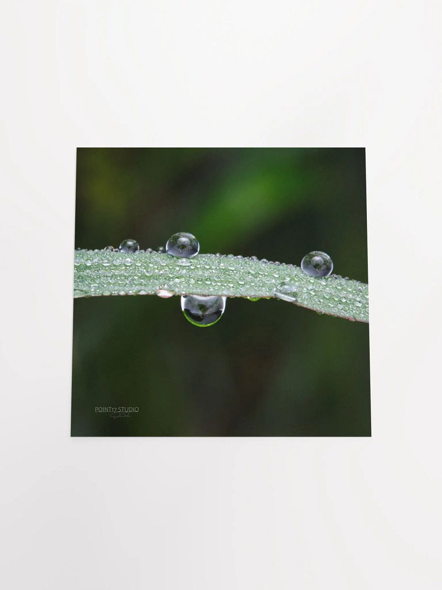 Dew Gems #7 - Print product image (10)
