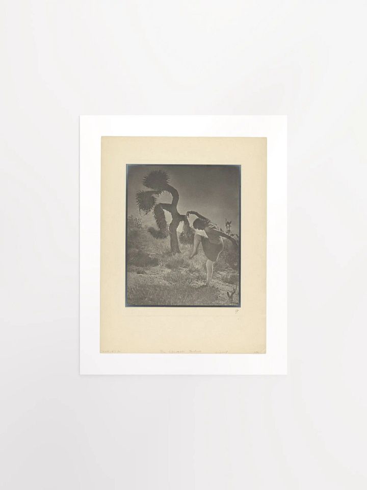 The Clownish Joshua by Louis Fleckenstein (1930) - Print product image (1)