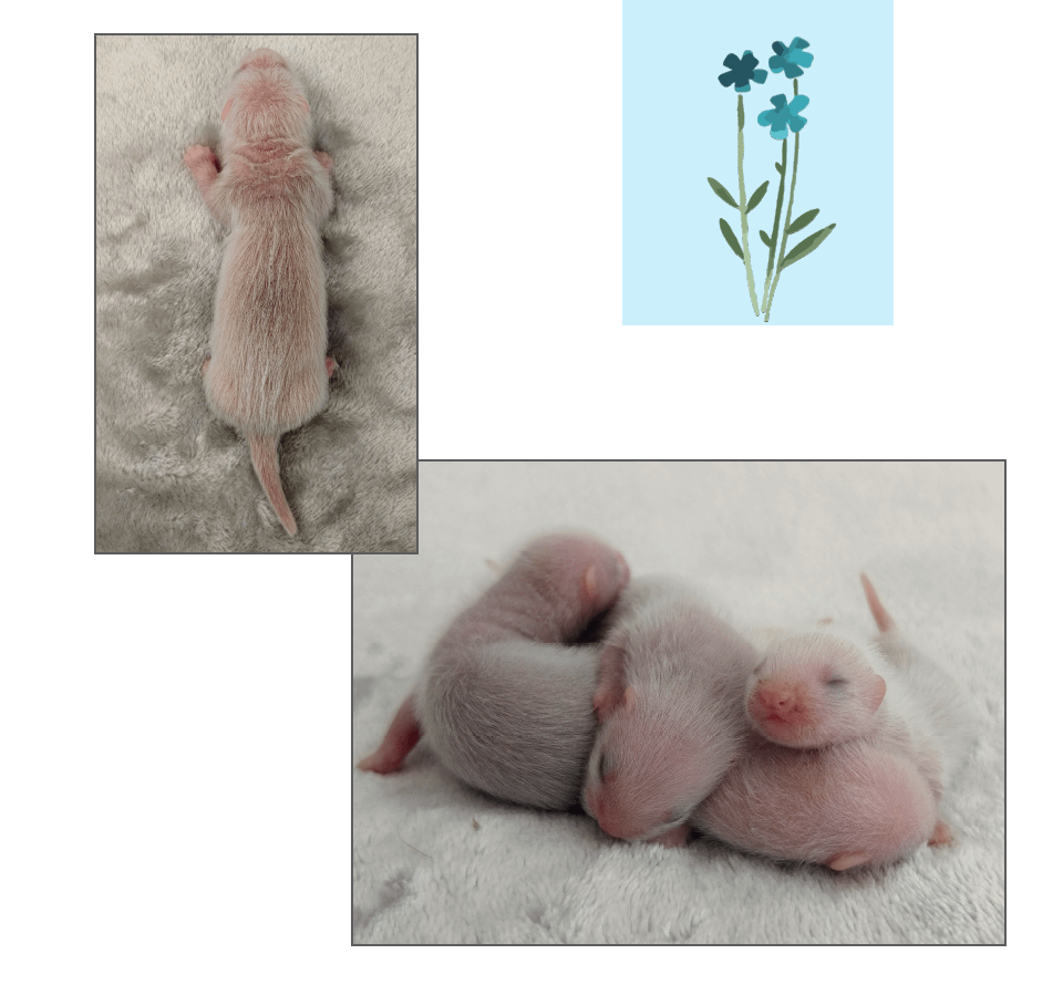 Kingsdown Kits PhotoBook - UK/EU Delivery product image (2)