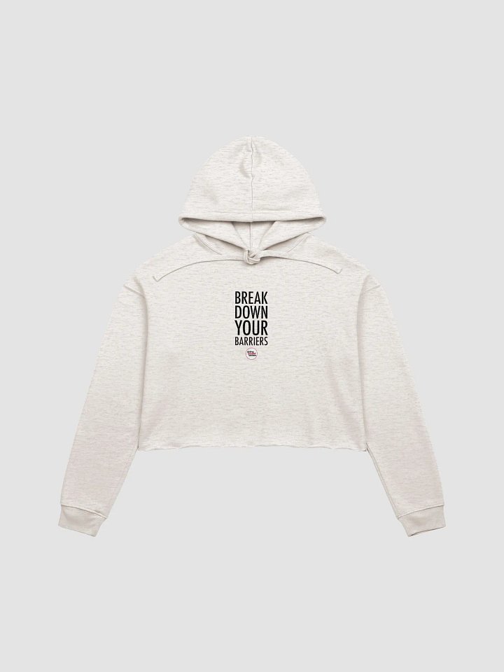 Break Barriers Hoodie product image (1)