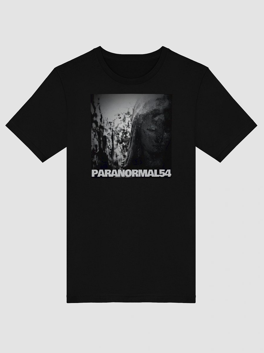 Haunted Mother Mary Statue T-Shirt product image (3)