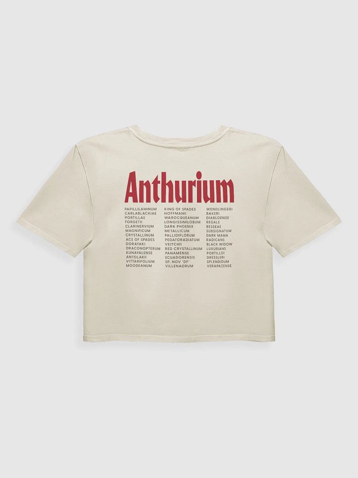 ⚡️ ANTHURIUM WORLD TOUR ⚡️ crop top product image (3)