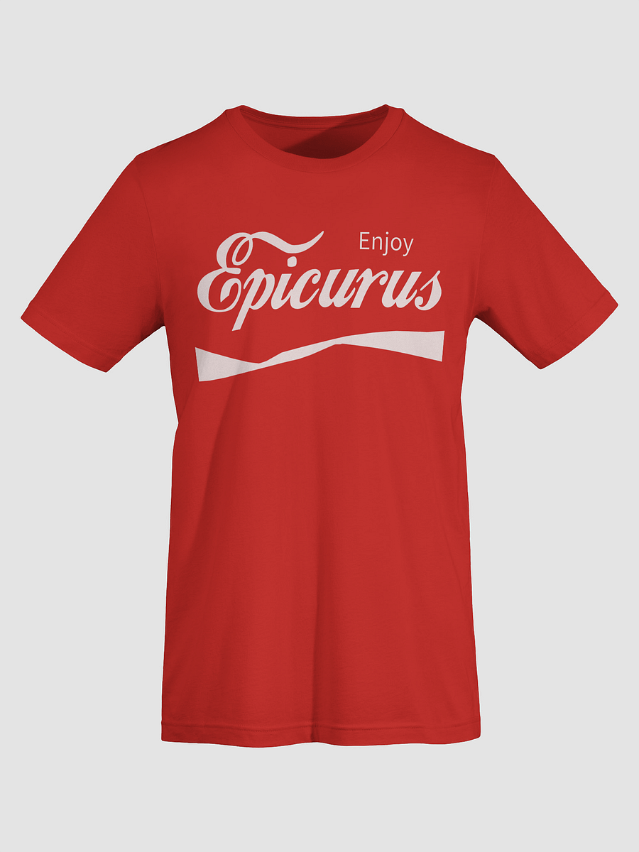 Enjoy Epicurus (Bella+Canvas Supersoft T-Shirt) product image (55)