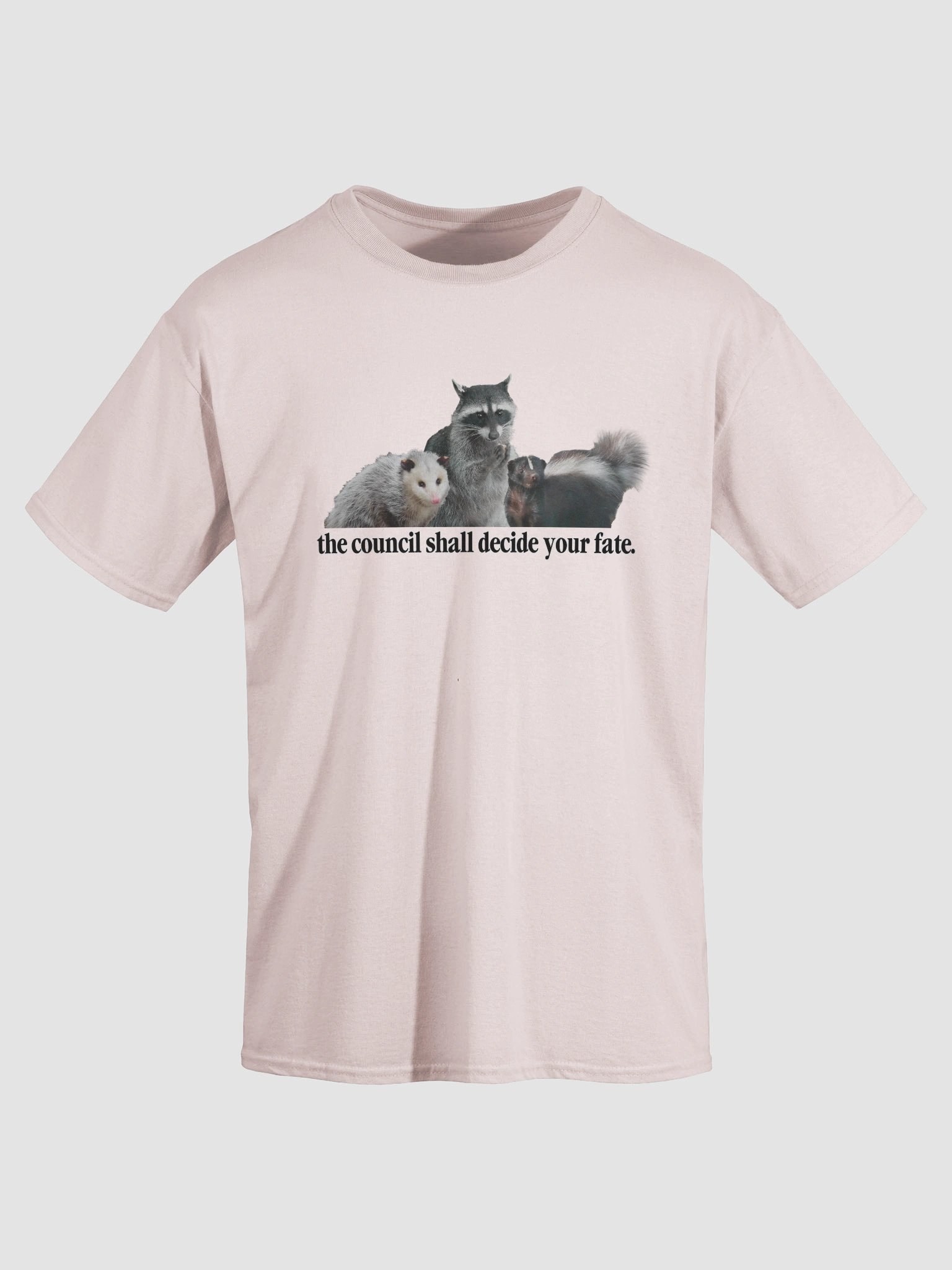 The council shall decide your fate T-shirt product image (28)