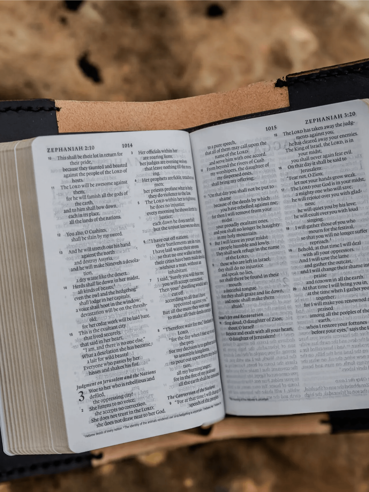 Swords Bible product image (4)