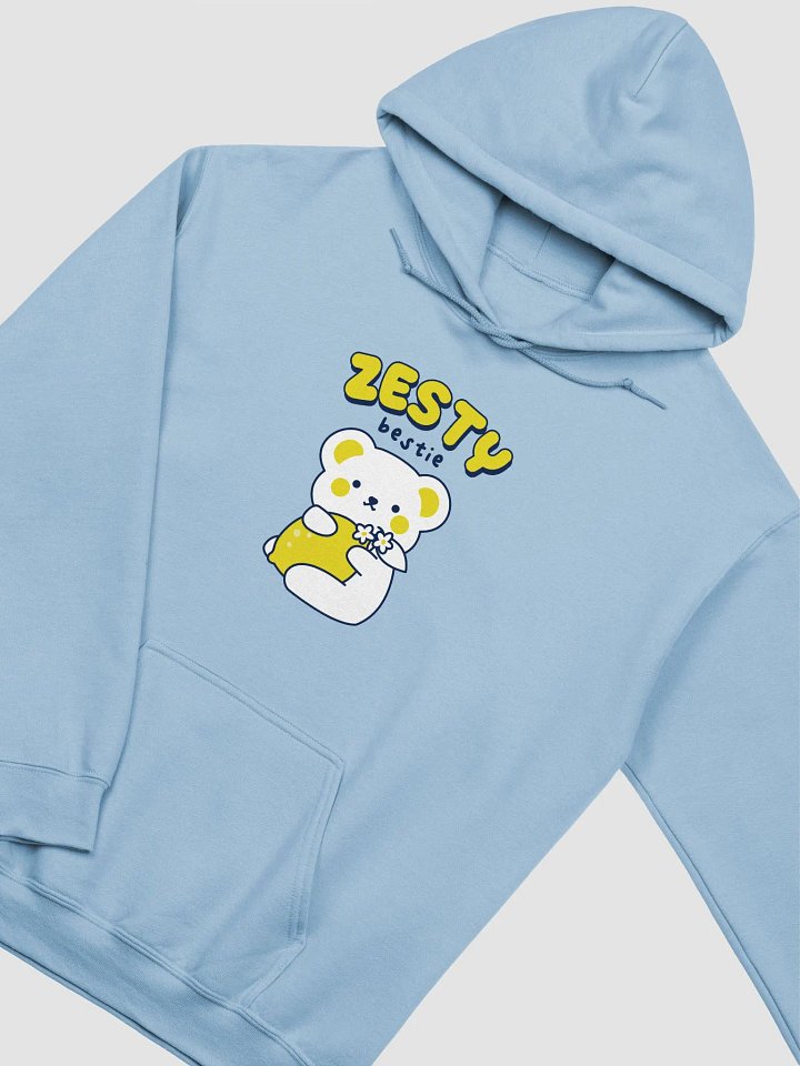 Zesty Bestie Hoodie (Minimal) product image (5)