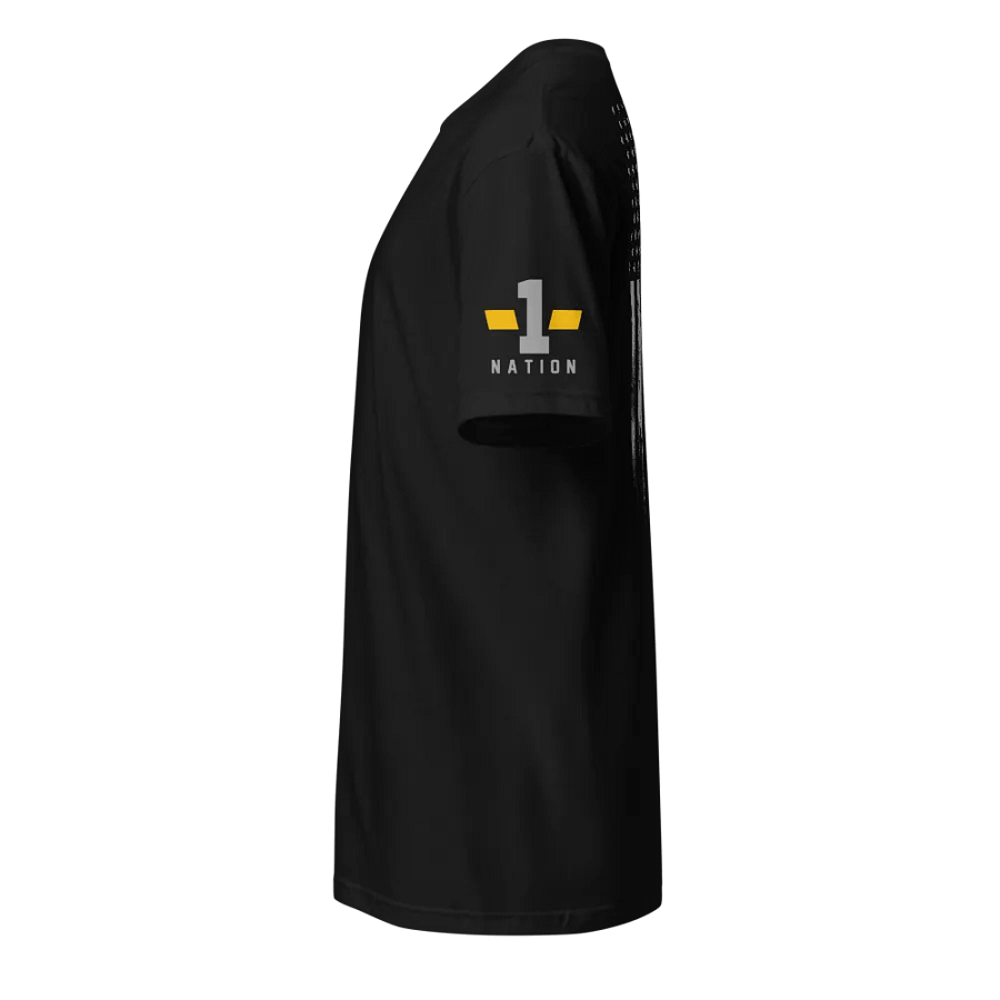 Dispatch: Thin Gold Line Flag product image (2)