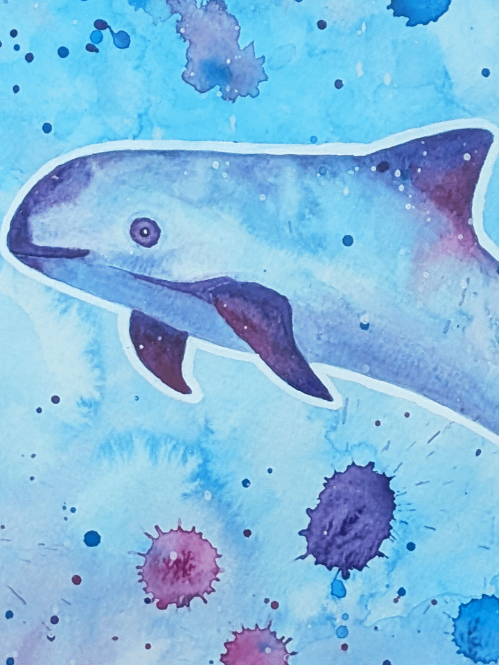 Hope in Color: Vaquita Dolphin Watercolor product image (2)
