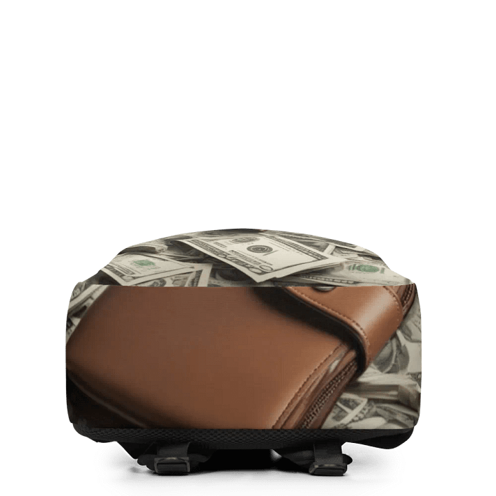 bag full of money product image (2)