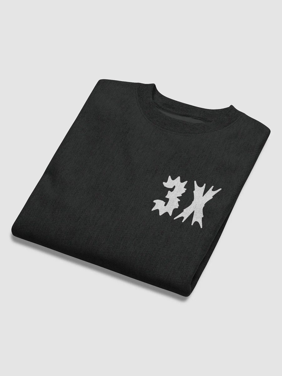 3X CHAMP SWEATSHIRT product image (6)