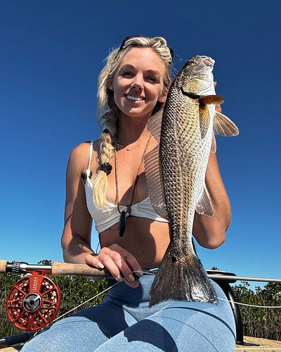 A handful of redfish and a surprise sheepshead on fly to end a great day on the water 🎣 YouTube vid coming soon 🔥 #solo #flyf...