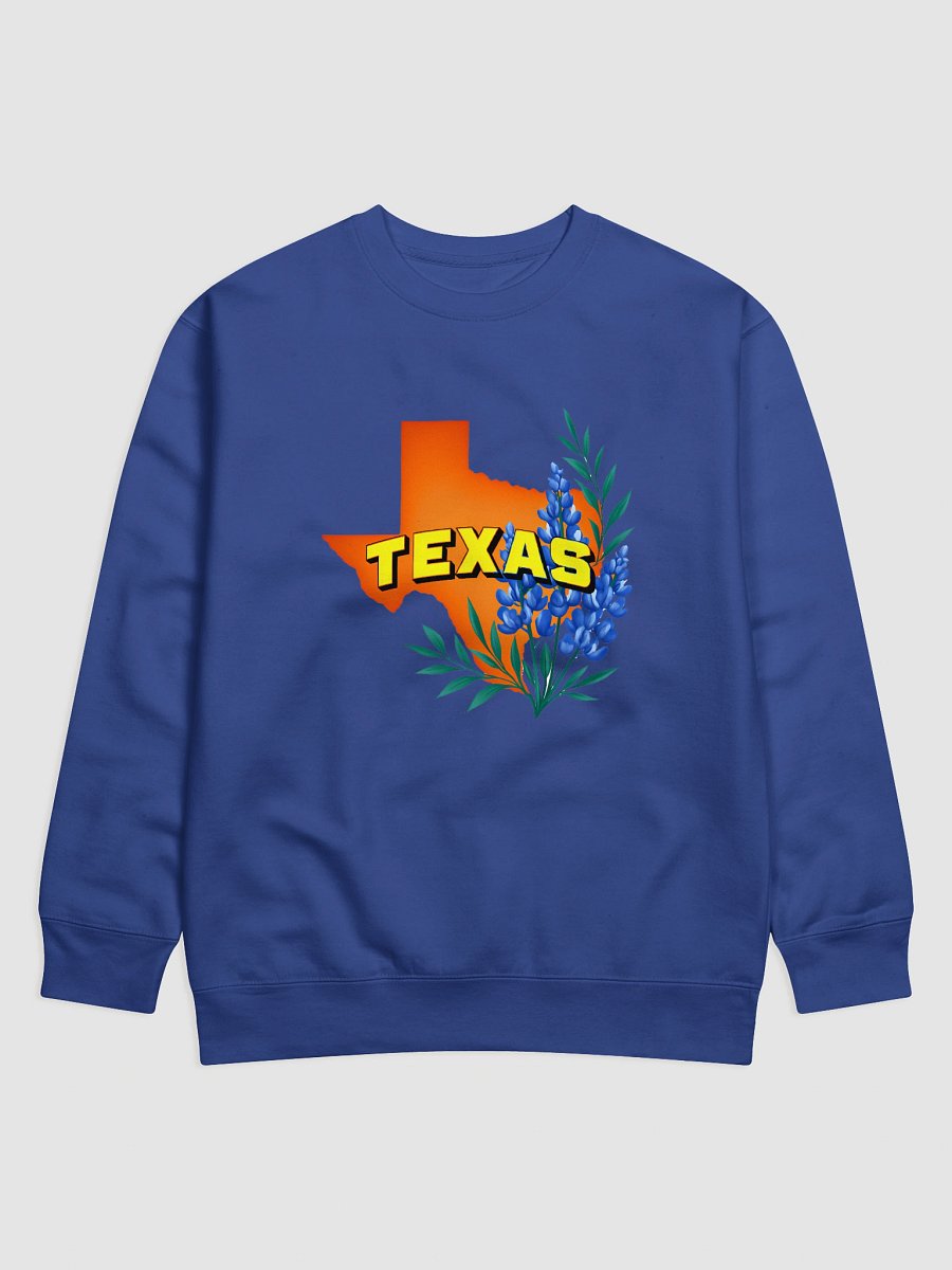 Texas Pride Premium Sweatshirt product image (1)